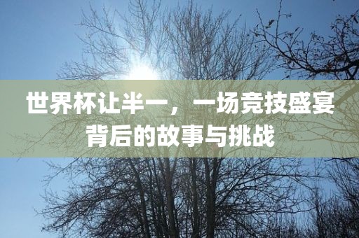 世界杯让半一，一场竞技盛宴背后的故事与挑战