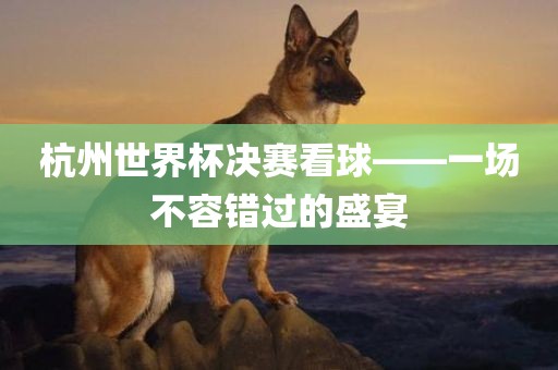 杭州世界杯决赛看球——一场不容错过的盛宴