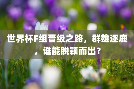 世界杯F组晋级之路，群雄逐鹿，谁能脱颖而出？