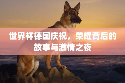 世界杯德国庆祝，荣耀背后的故事与激情之夜