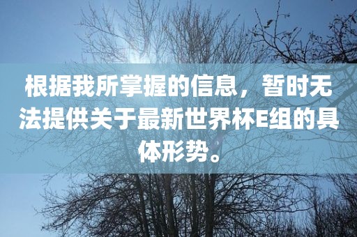 根据我所掌握的信息，暂时无法提供关于最新世界杯E组的具体形势。