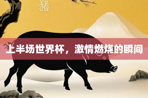 上半场世界杯，激情燃烧的瞬间