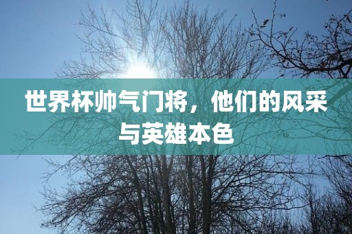 世界杯帅气门将，他们的风采与英雄本色