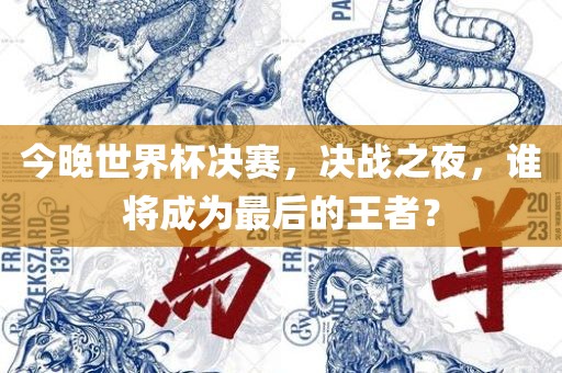 今晚世界杯决赛，决战之夜，谁将成为最后的王者？
