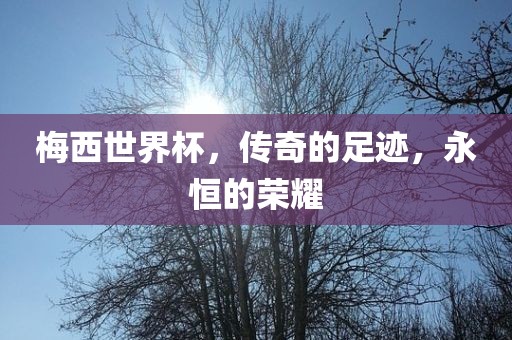梅西世界杯，传奇的足迹，永恒的荣耀