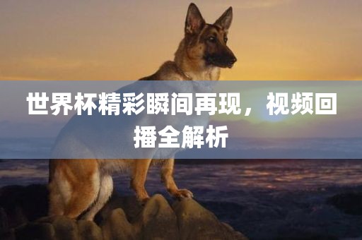 世界杯精彩瞬间再现，视频回播全解析