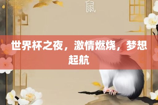 世界杯之夜，激情燃烧，梦想起航