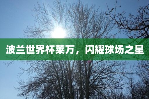波兰世界杯莱万，闪耀球场之星