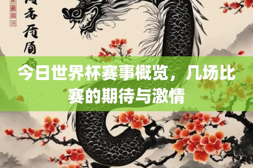 今日世界杯赛事概览，几场比赛的期待与激情