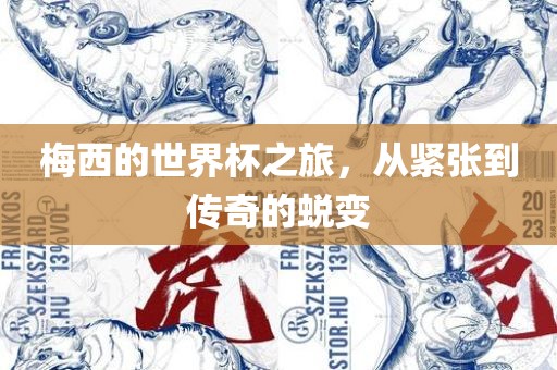 梅西的世界杯之旅，从紧张到传奇的蜕变