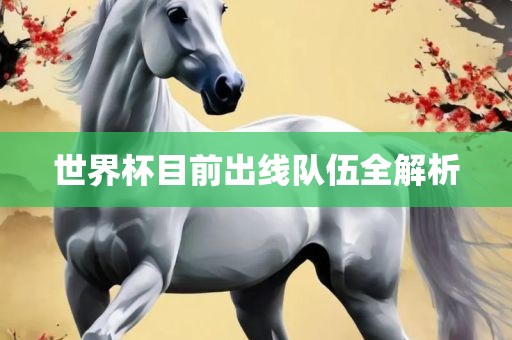 世界杯目前出线队伍全解析