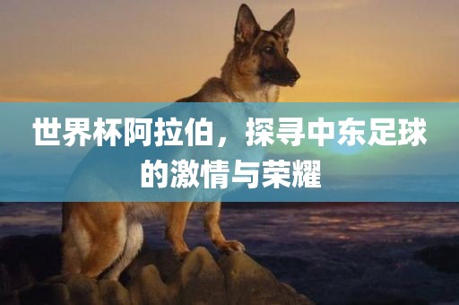 世界杯阿拉伯，探寻中东足球的激情与荣耀漯河市盈旭机械设备有限公司