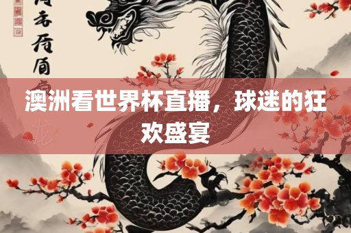 澳洲看世界杯直播，球迷的狂欢盛宴