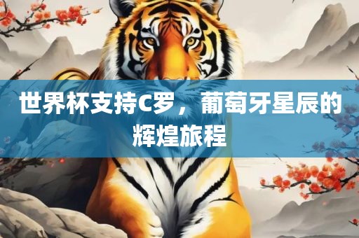 世界杯支持C罗，葡萄牙星辰的辉煌旅程