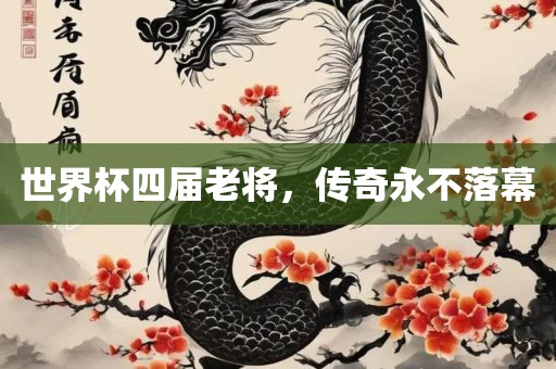 世界杯四届老将，传奇永不落幕