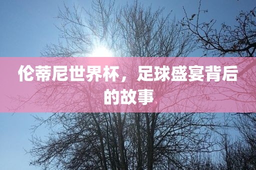 伦蒂尼世界杯，足球盛宴背后的故事