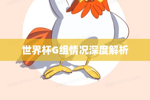 世界杯G组情况深度解析