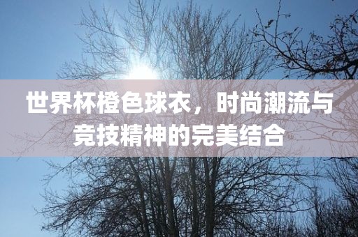 世界杯橙色球衣，时尚潮流与竞技精神的完美结合