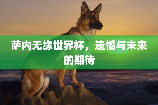 萨内无缘世界杯，遗憾与未来的期待