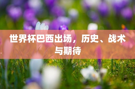 世界杯巴西出场，历史、战术与期待