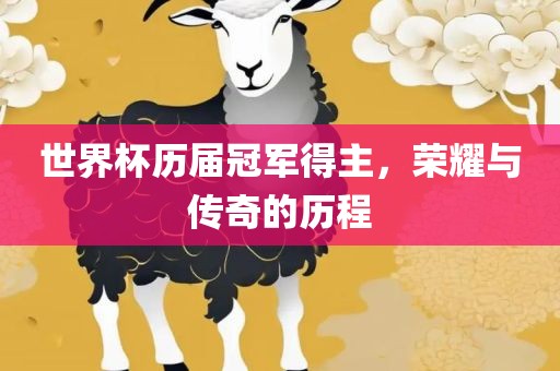 世界杯历届冠军得主，荣耀与传奇的历程