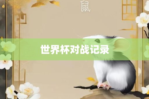 世界杯对战记录