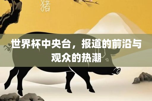 世界杯中央台，报道的前沿与观众的热潮