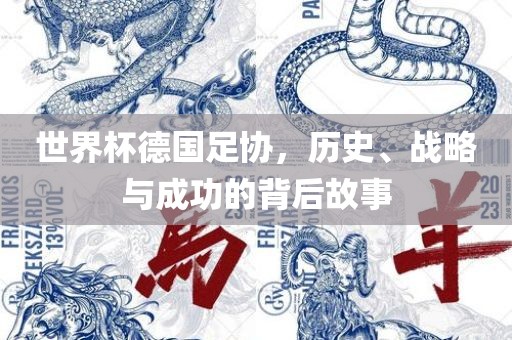 世界杯德国足协，历史、战略与成功的背后故事