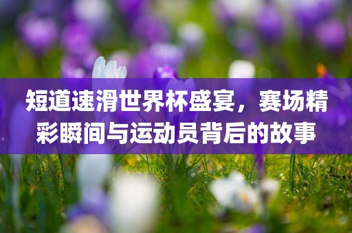 短道速滑世界杯盛宴，赛场精彩瞬间与运动员背后的故事