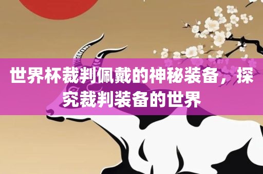 世界杯裁判佩戴的神秘装备漯河市盈旭机械设备有限公司，探究裁判装备的世界