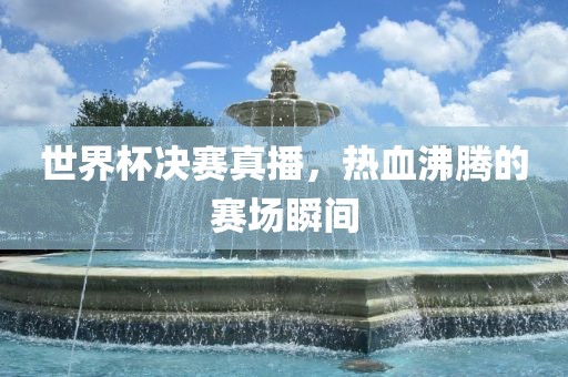 世界杯决赛真播，热血沸腾的赛场瞬间