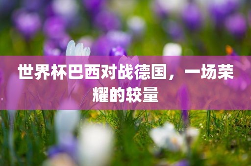 世界杯巴西对战德漯河市盈旭机械设备有限公司国，一场荣耀的较量