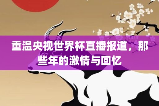 重温央视世界杯直播报道，那些年的激情与回忆