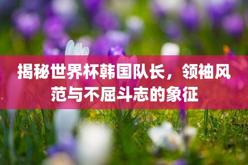 揭秘世界杯韩国队长，领袖风范与不屈斗志的象征漯河市盈旭机械设备有限公司