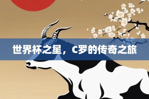 世界杯之星，C罗的传奇之旅