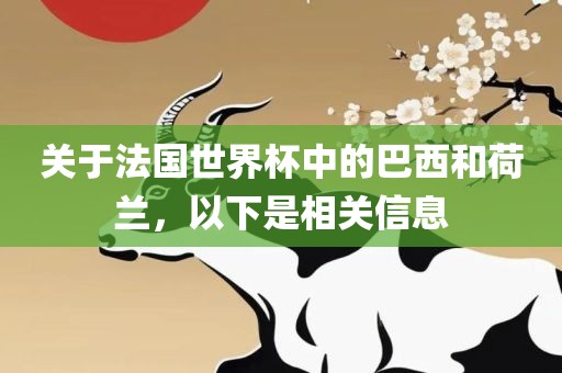 关于法国世界杯中的巴西和荷兰，以下是相关信息