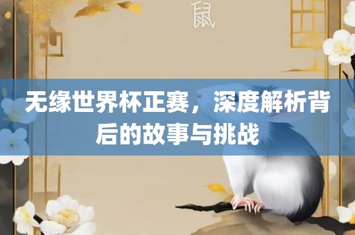 无缘世界杯正赛，深度解析背后的故事与挑战