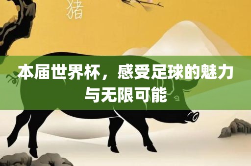 本届世界杯，感受足球的魅力与无限可能