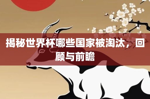 揭秘世界杯哪些国家被淘汰，回顾与前瞻