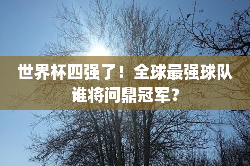 世界杯四强了！全球最强球队谁将问鼎冠军？