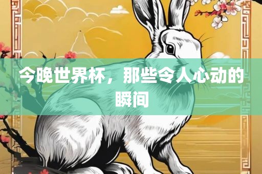 今晚世界杯，那些令人心动的瞬间