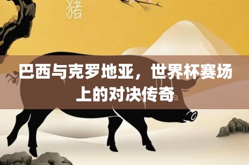巴西与克罗地亚，世界杯赛场上的对决传奇