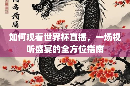 如何观看世界杯直播，一场视听盛宴的全方位指南