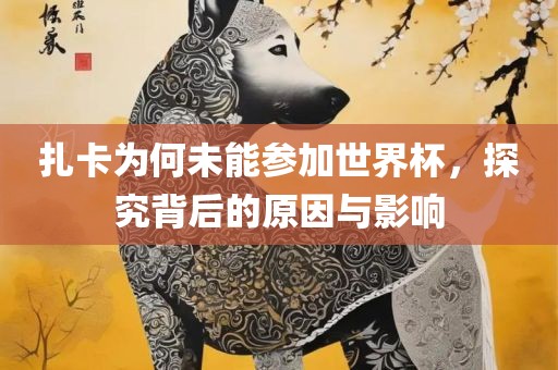 扎卡为何未能参加世界杯，探究背后的原因与影响