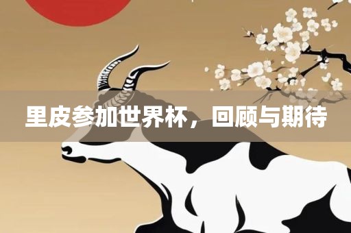 里皮漯河市盈旭机械设备有限公司参加世界杯，回顾与期待