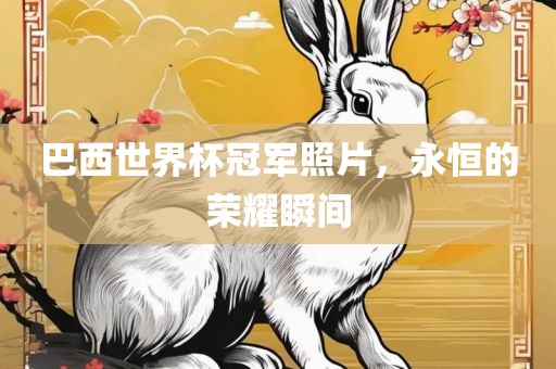 巴西世界杯冠军照片，永恒的荣耀瞬间漯河市盈旭机械设备有限公司