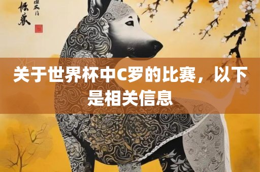 关于世界杯中C罗的比赛，以下是相关信息漯河市盈旭机械设备有限公司