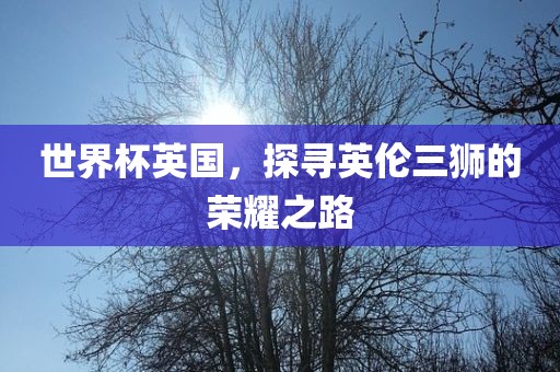 世界杯英国，探寻英伦三狮的荣耀之路