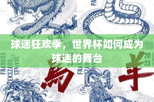 球迷狂欢季，世界杯如何成为球迷的舞台漯河市盈旭机械设备有限公司