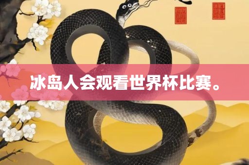 冰岛人会观看世界杯比赛。